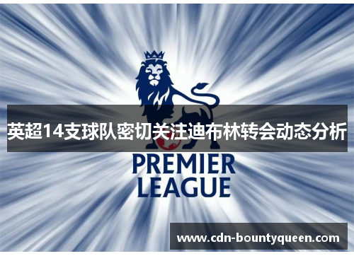 英超14支球队密切关注迪布林转会动态分析