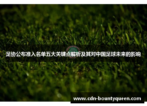 足协公布准入名单五大关键点解析及其对中国足球未来的影响 足协公布准入名单五大关键点解析及其对中国足球未来的影响
