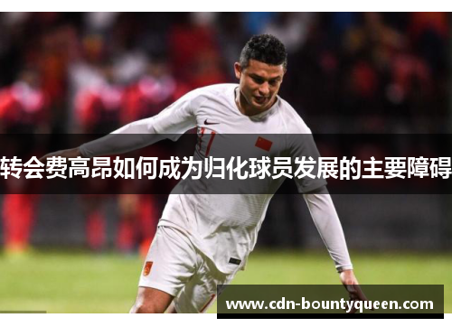 转会费高昂如何成为归化球员发展的主要障碍 转会费高昂如何成为归化球员发展的主要障碍